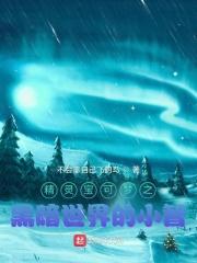 神奇宝贝黑暗 神奇宝贝黑暗