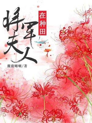 神武护卫特长 神武护卫特长
