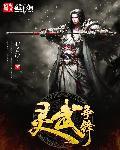 灵武分兵 灵武分兵