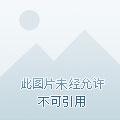 r文女配不容易[快穿. r文女配不容易[快穿.