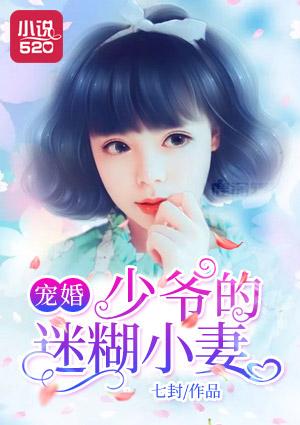 少爷的宠儿 少爷的宠儿