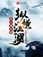 从天龙无敌开始 从天龙无敌开始
