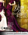 双壁合一 双壁合一
