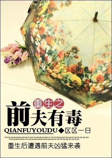 重生之前夫要复婚 重生之前夫要复婚