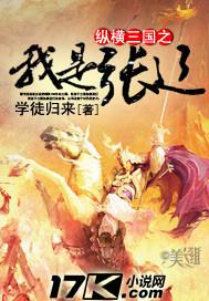 纵横三国之我是张辽奇书 纵横三国之我是张辽奇书
