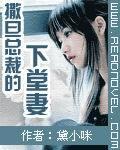 撒旦总裁的下堂妻女主叫小七 撒旦总裁的下堂妻女主叫小七