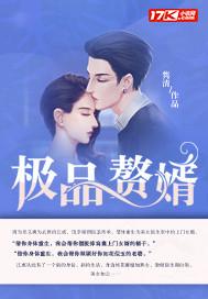 极品赘婿 极品赘婿